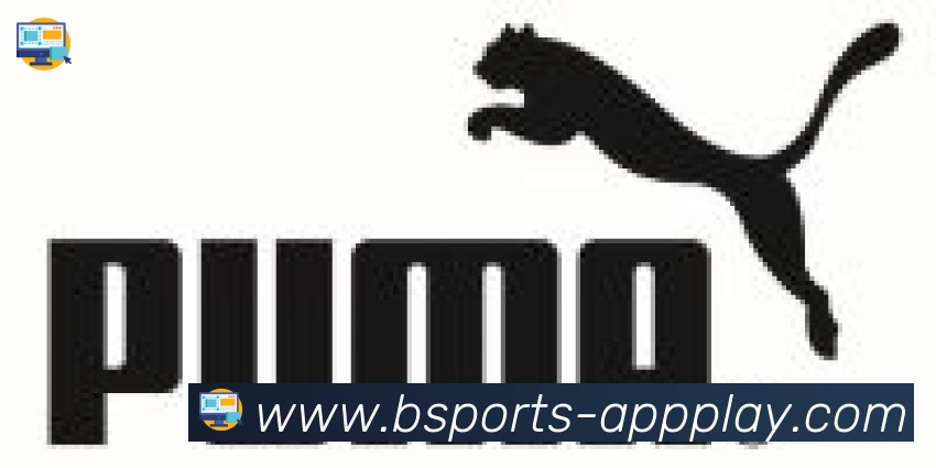 bsports体育合作伙伴