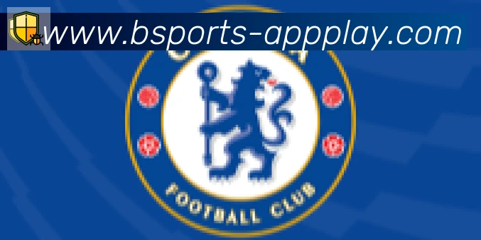 bsports体育合作伙伴